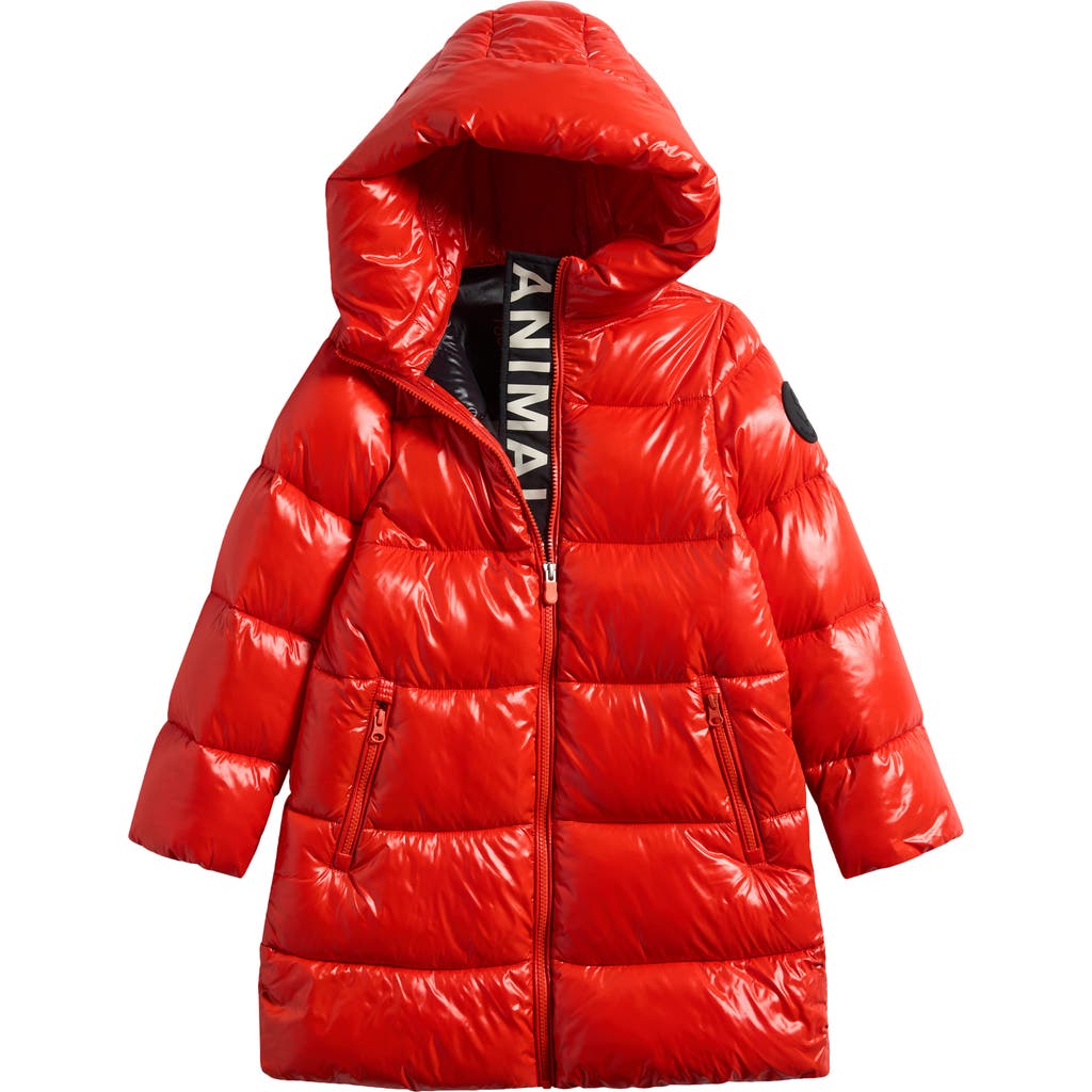 Save The Duck Kids' Millie Water Resistant Puffer Coat in Poppy Red at Nordstrom Rack, Size 8