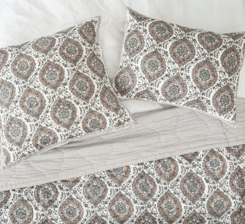 Carol & Frank Freddie Onyx Shams Collection In Multi