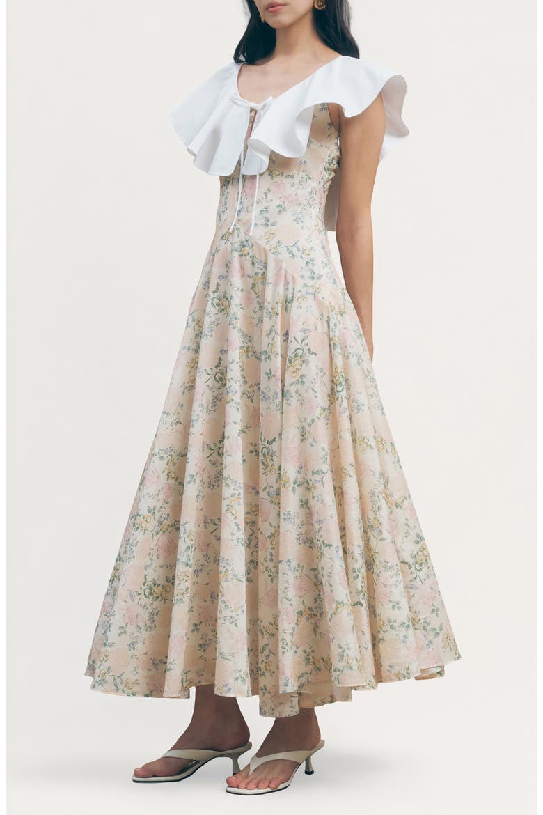 Fawn Floral Oversize Poplin Ruffle Collar Dress, Alternate, color, VINTAGE FLORAL PRINT