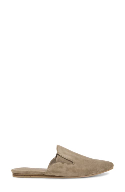 Splendid Liza Pointed Toe Mule In Neutral