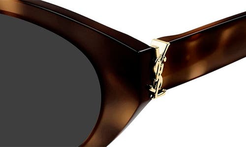 Saint Laurent Sl M148 Recycled Acetate Round Sunglasses In Havana