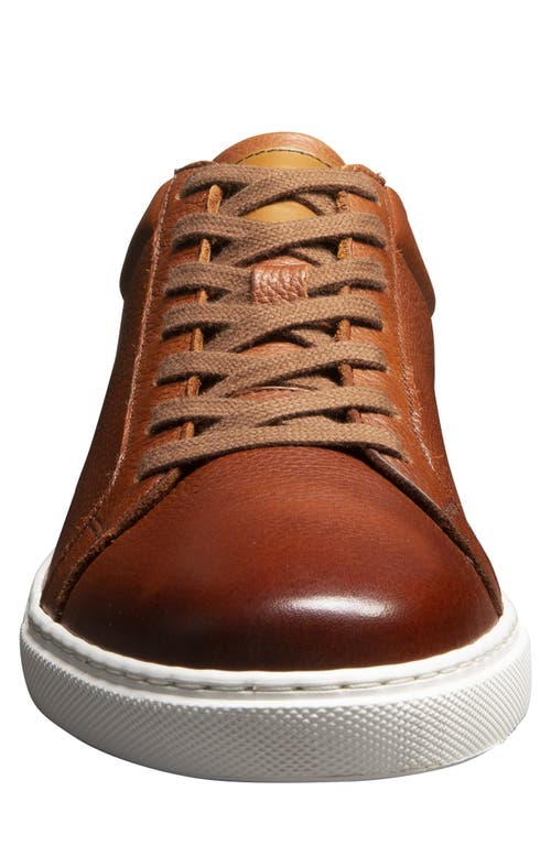 Allen Edmonds Courtside Sneaker In Chili