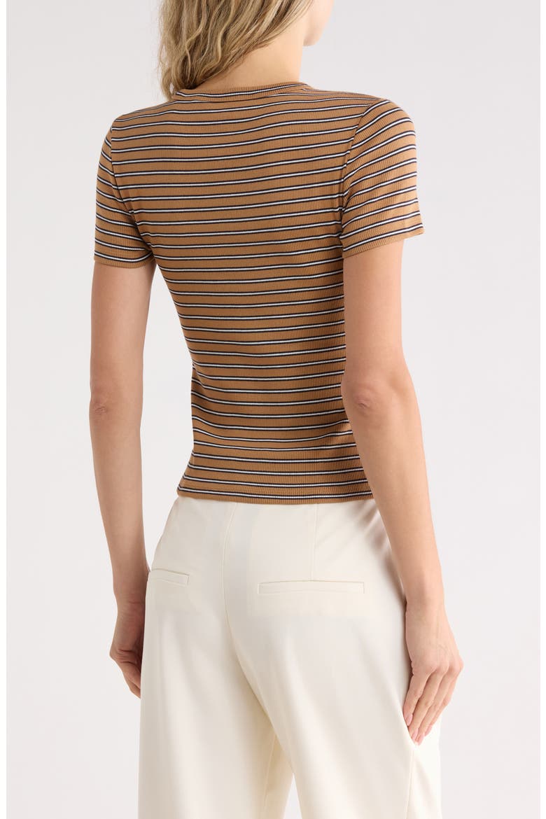 Pruitt Striped T-Shirt, Alternate, color, BROWN MULTI