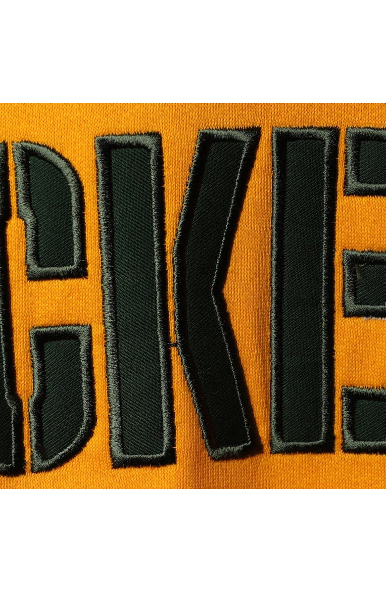 PROFILE Men's Green/Gold Green Bay Packers Big & Tall Pullover Hoodie, Alternate, color,