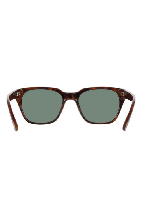 Cole Haan 54mm Modified Rectangular Sunglasses In Tortoise