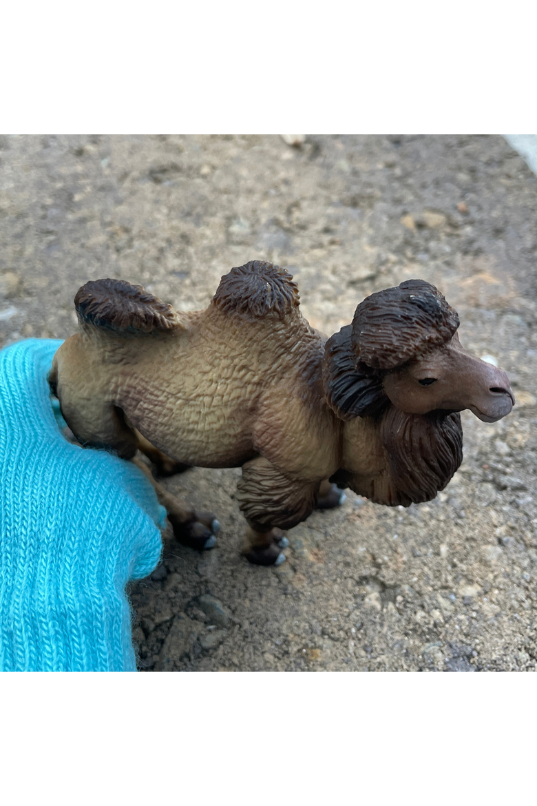 Bactrian Camel Kids Toy Figure, Alternate, color, None
