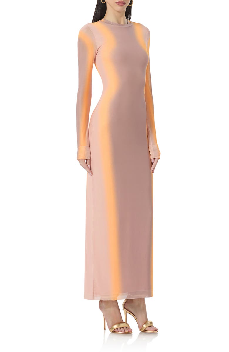 AFRM Didi Long Sleeve Mesh Maxi Dress, Alternate, color, 