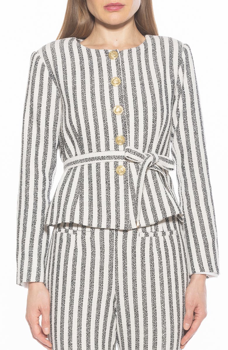 Alexia Admor Arjun Stripe Jacket, Main, color, Navy Stripe