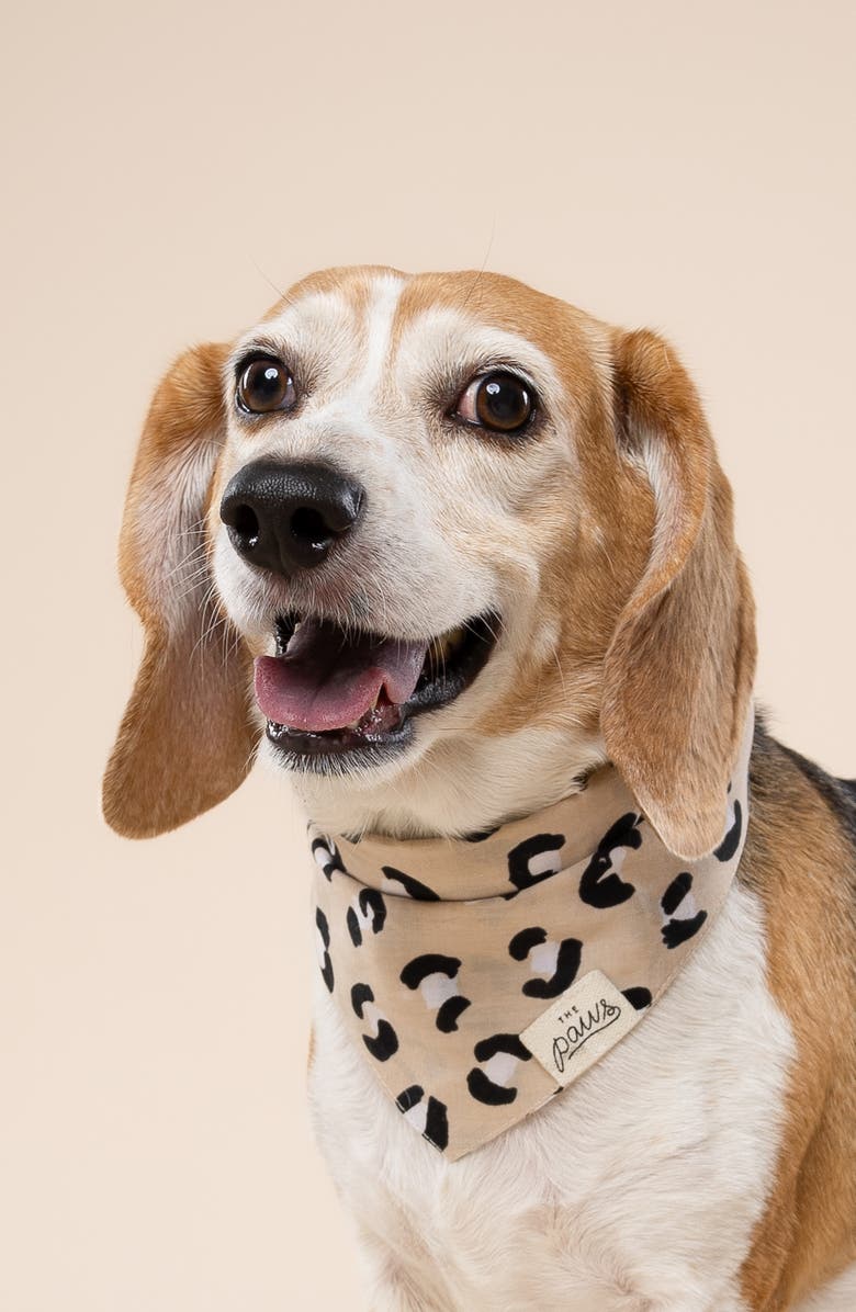 The Paws Urban Dog Bandana, Alternate, color, Beige