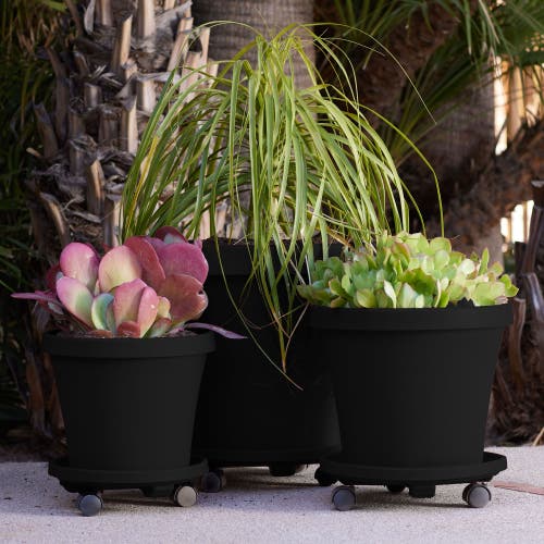 Bloem 14" Round Planter Caddy With Wheels, Black In Black