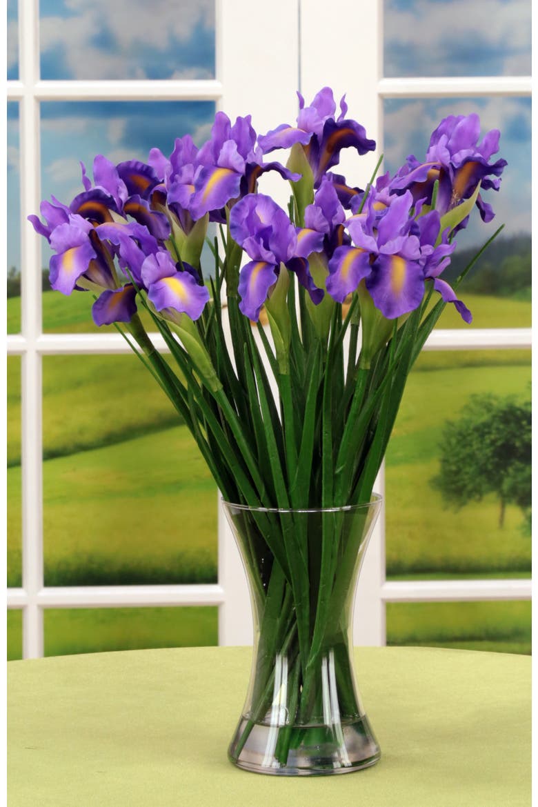 Vase of Iris, Alternate, color, Violet