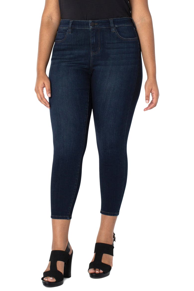 Abby Stretch Ankle Skinny Jeans, Main, color, DYNASTY DA