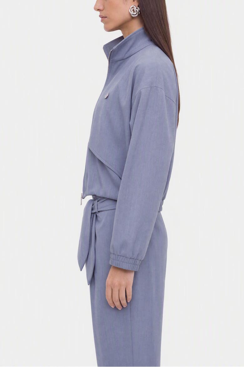 Stand Collar Zip Jacket, Alternate, color, Blue