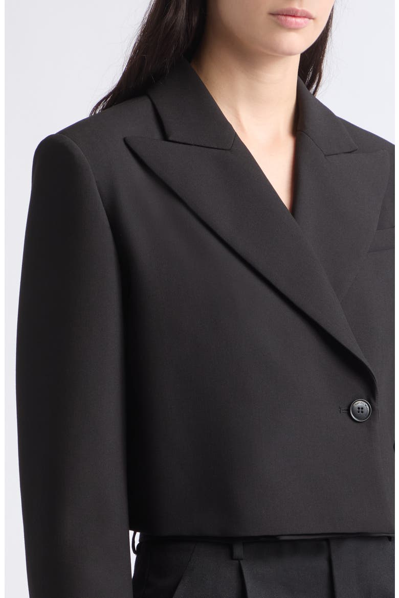 Cropped Blazer, Alternate, color, SOLID BLACK