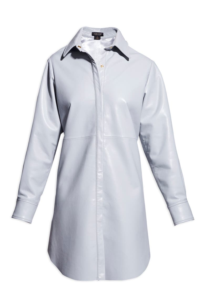 Bonsoir Long Sleeve Recycled Leather Shirtdress, Alternate, color, CASHMERE GREY
