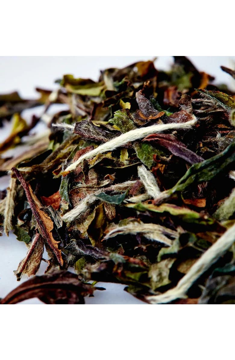 Samovar Tea Moon Bud White Tea, Organic, Alternate, color, 1 Lb Bulk Bag