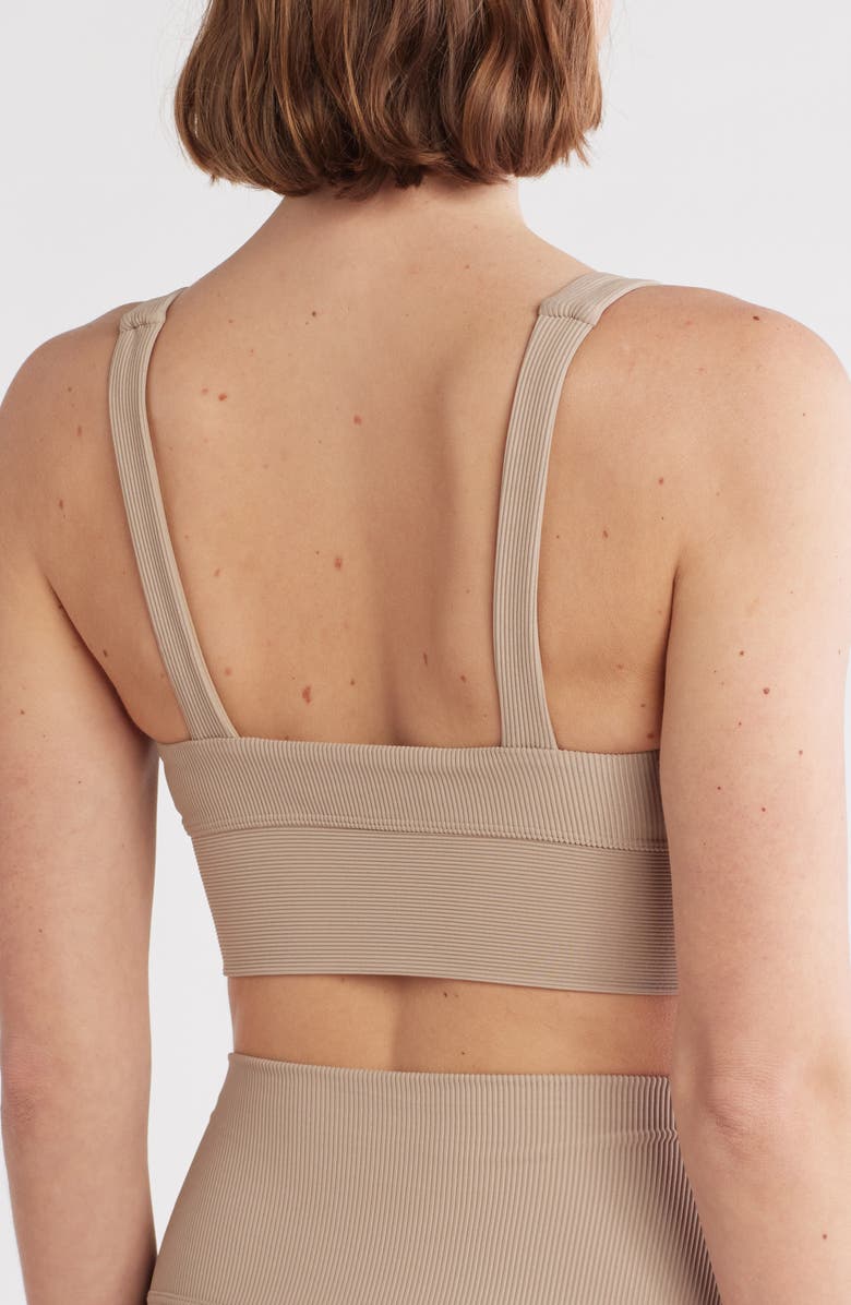 Beach Riot Leah Crop Sports Bra, Alternate, color, Taupe