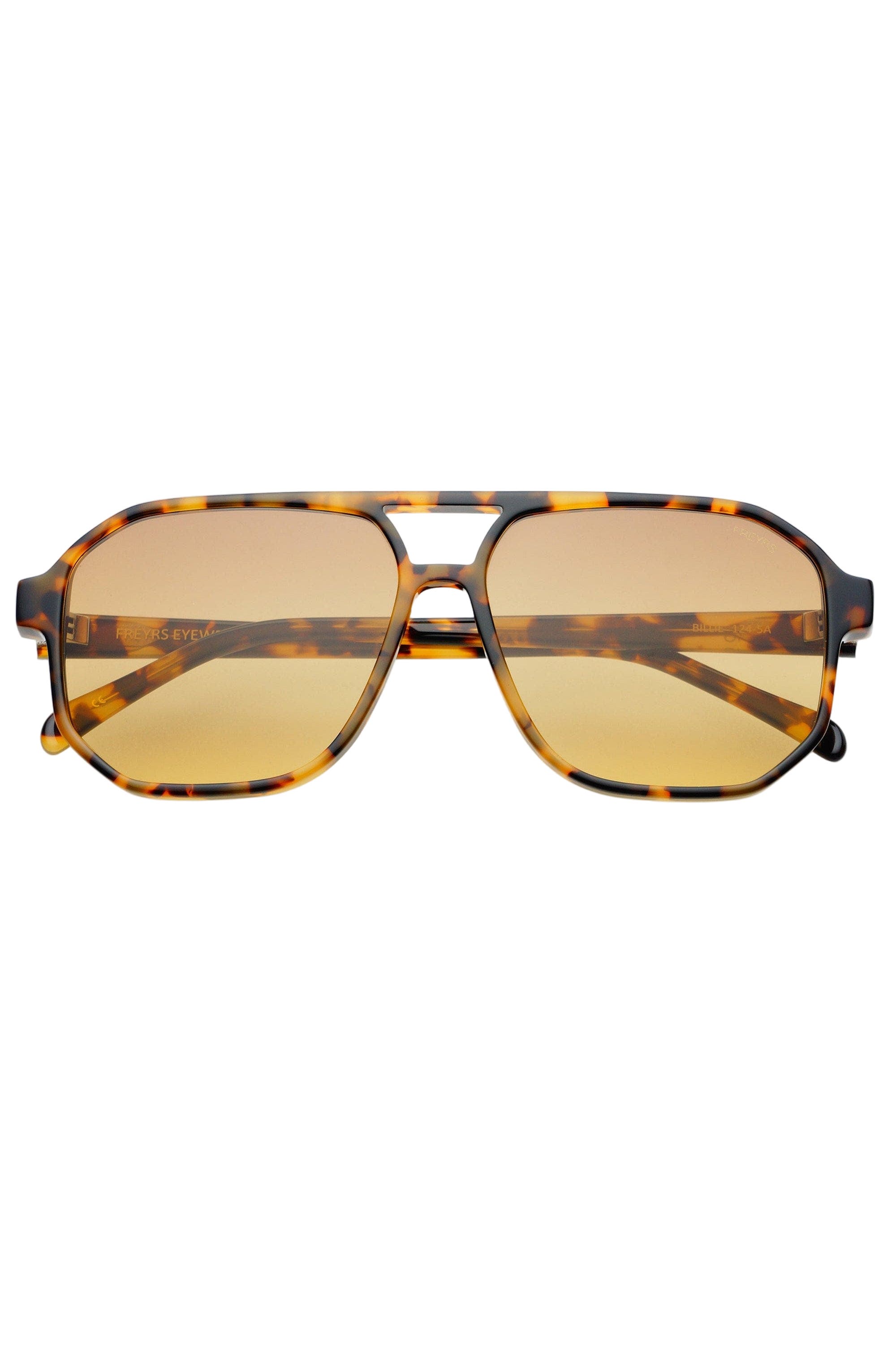 Tortoise / Brown