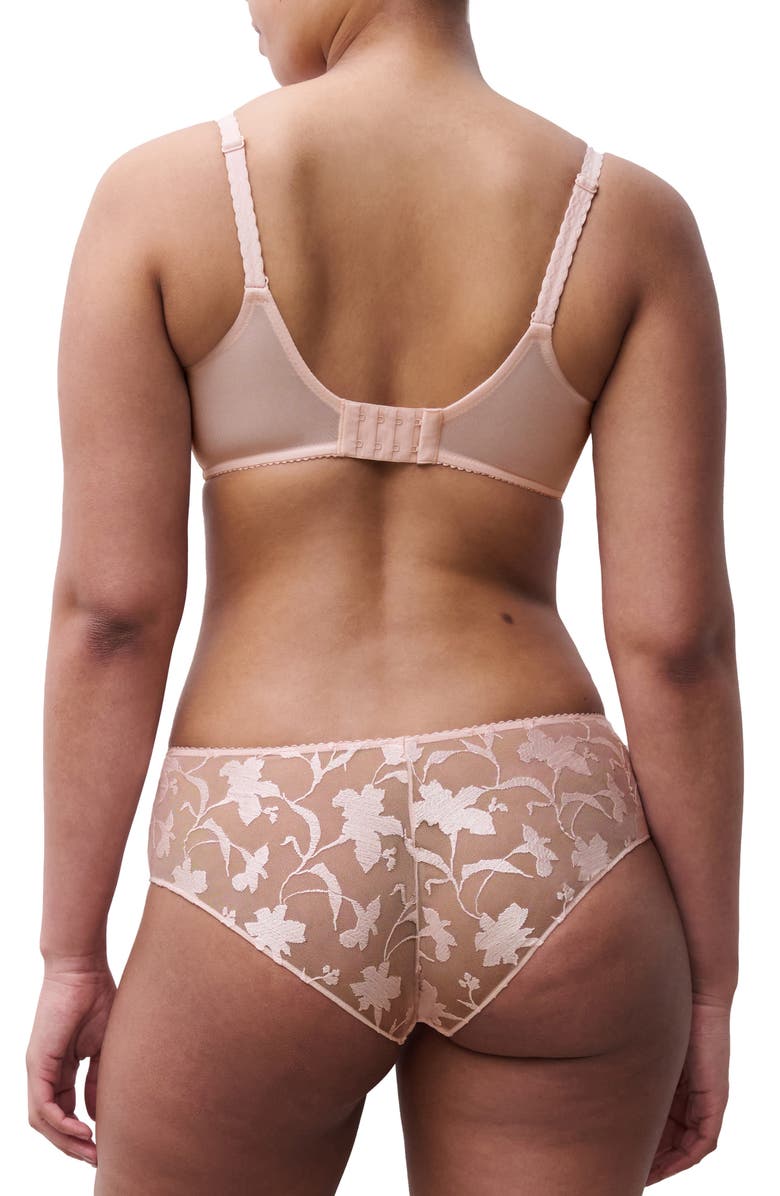 Chantelle Lingerie Idyll Embroidered Tulle
Microfiber Hipster Briefs, Alternate, color, Taffeta Pink