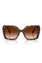  Havana / Gradient Brown