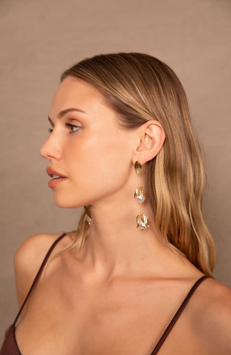 Petit Moments Falcao Linear Drop Earrings, Alternate, color,