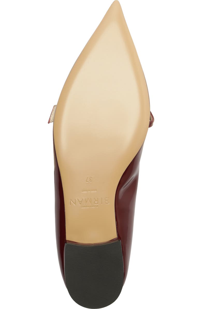 Alexandre Birman Tita Pointed Toe Ballerina Flat, Alternate, color,