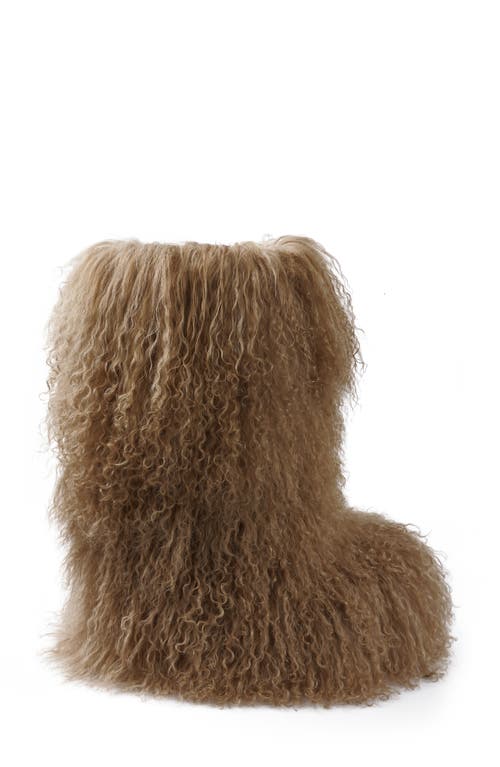 Zigi Risha Genuine Shearling Knee High Boot In Brown
