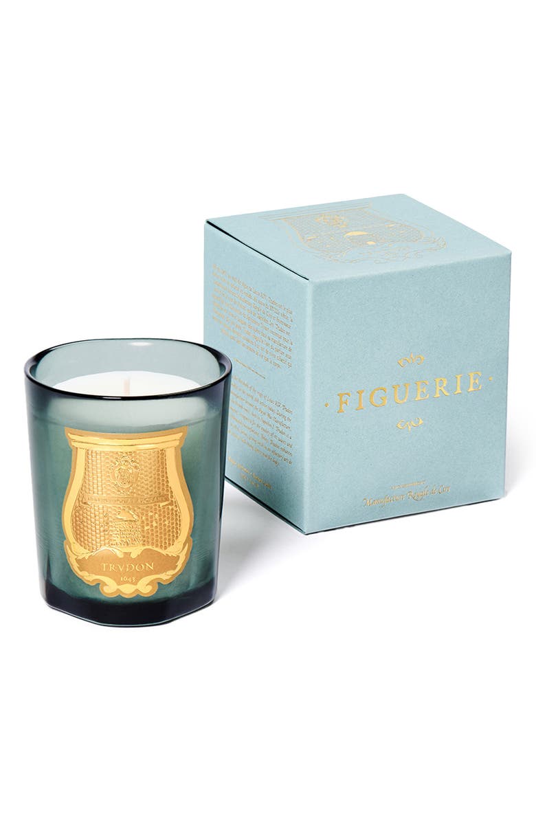 Trudon Figuerie Small Scented Candle, Alternate, color,