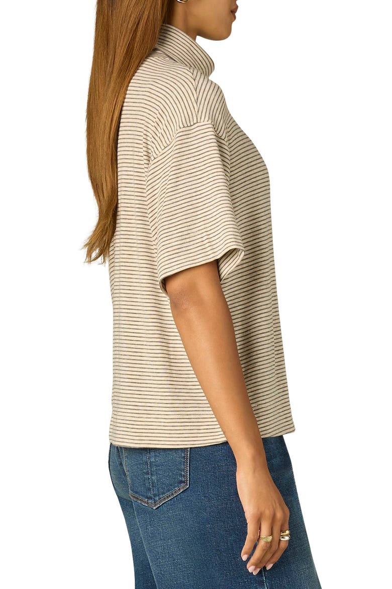 Elbow Sleeved Turtleneck Boxy Top, Alternate, color, HEATHER CREAM