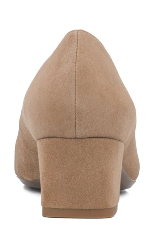 Aquatalia Pasha Pointed Toe Pump