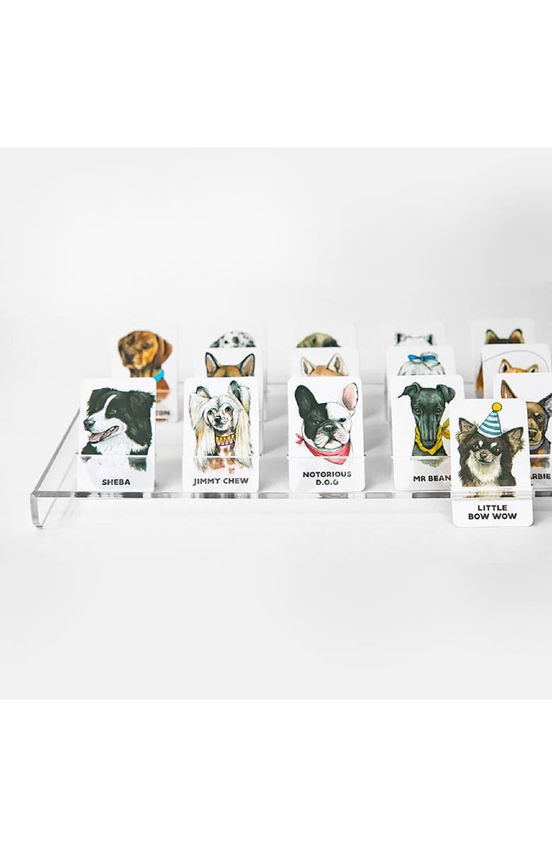 Journey of Something Guess The Doggy, Quirky Guessing Party Game, Alternate, color, Multicolored