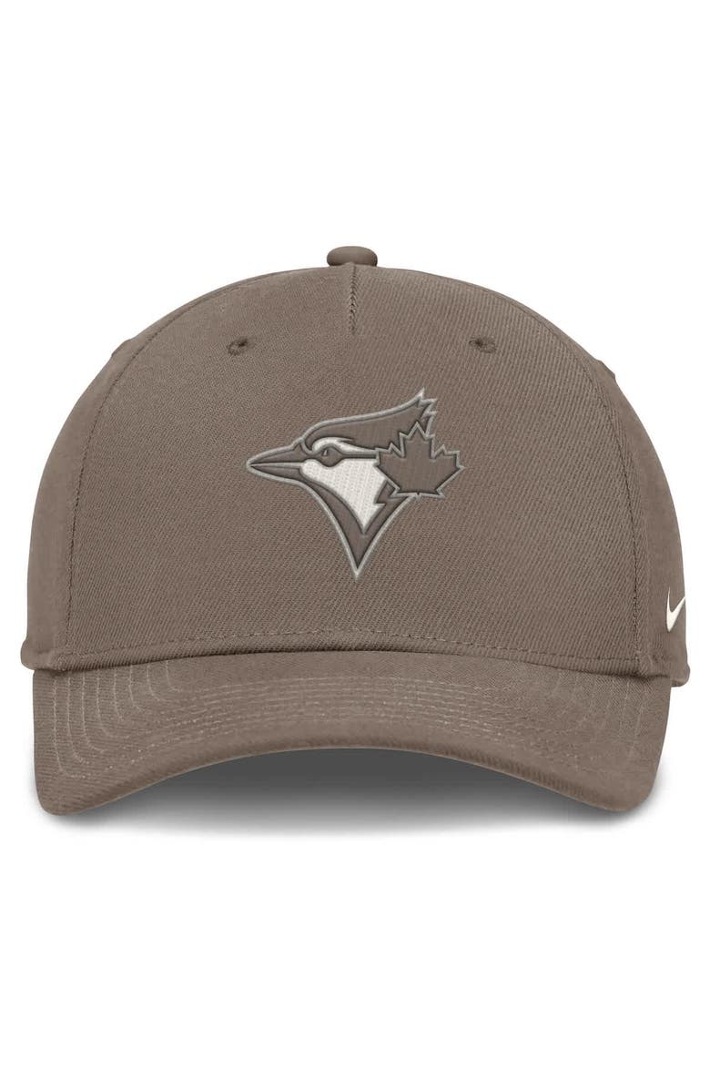 Nike Men's Nike Brown Toronto Blue Jays Rise Performance Adjustable Hat, Alternate, color, 