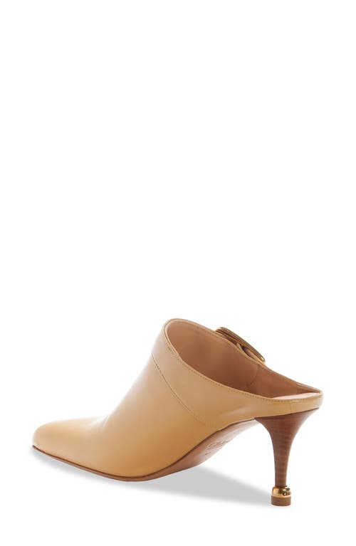 Chloé Andrea Calfskin Buckle Mule Pumps In Sandy Brown