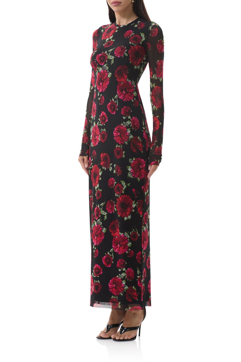 Didi Printed Long Sleeve Mesh Maxi Dress, Alternate, color, PAINTED ROSES
