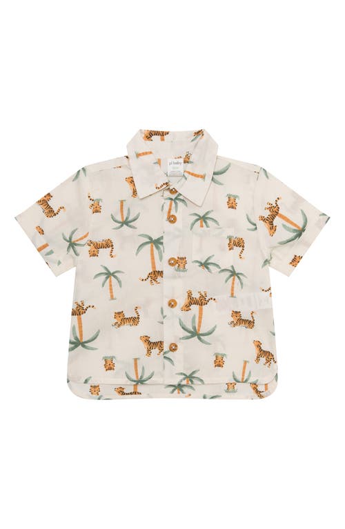 Pl Baby By Petit Lem Cotton Button-up Shirt, Shorts & Socks Set In Palm Tree