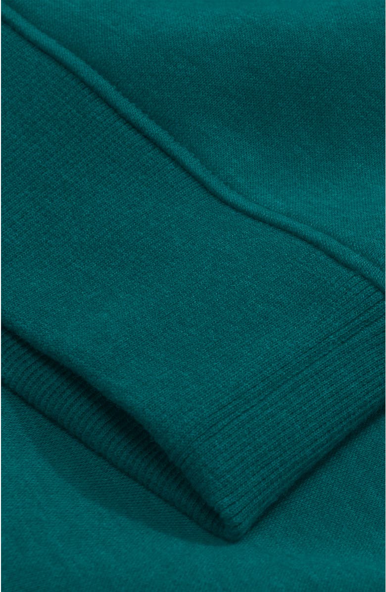 Primary Adult Cozy Fleece Quarter-Zip Sweatshirt, Alternate, color, Heather Spruce