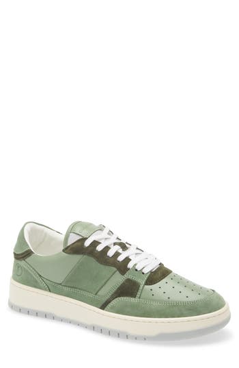 Collegium Alpha Sneaker In Multi