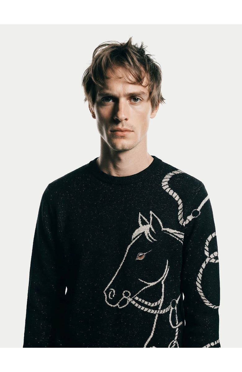 Gobi Cashmere Cashmere Horse Jacquard Sweater, Alternate, color, Black