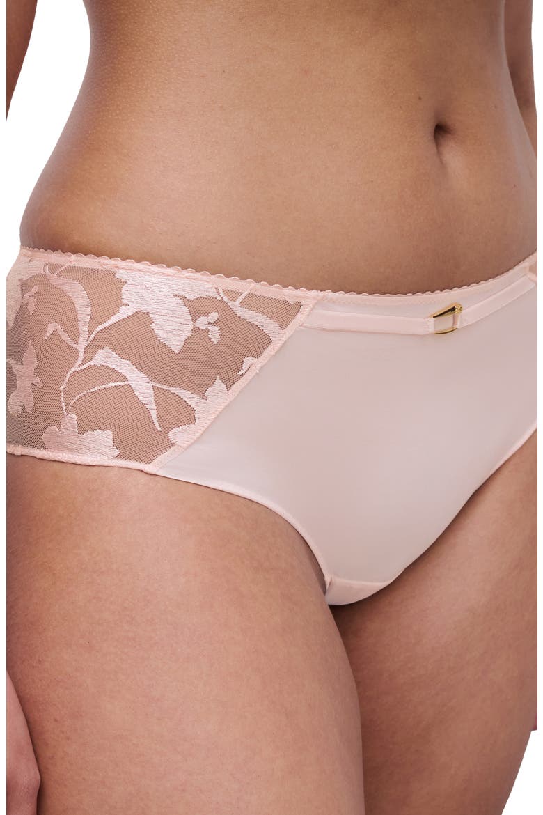 Idyll Embroidered Tulle & Microfiber Hipster Briefs, Alternate, color, TAFFETA PINK