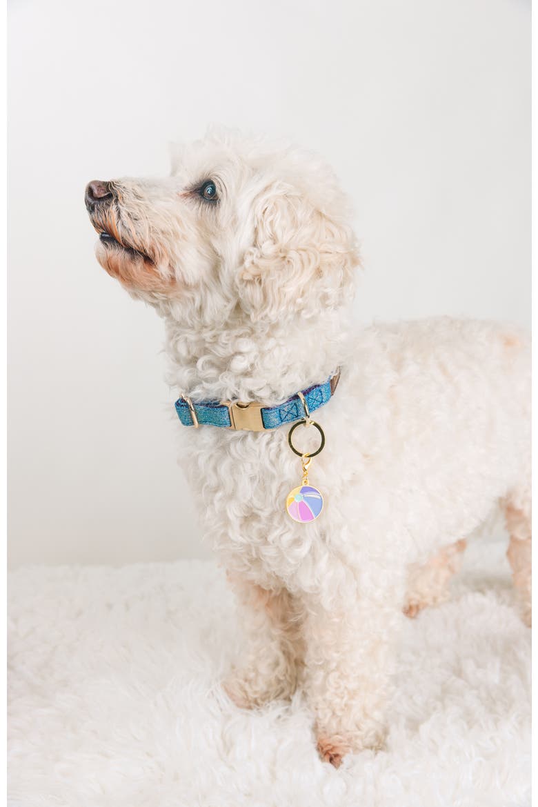 Beach Ball Pet Collar Charm, Alternate, color, Beach Ball