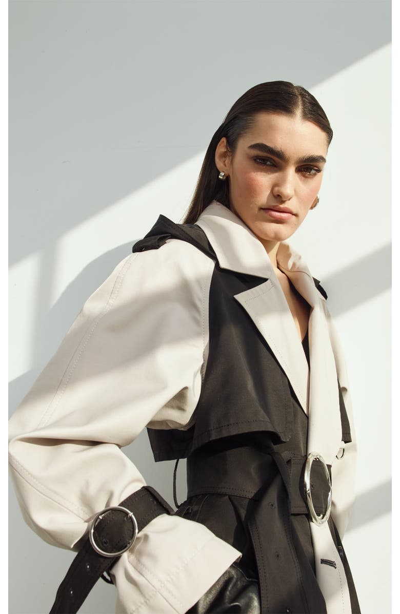 CAALO Water-Resistant Trench Coat, Alternate, color, 