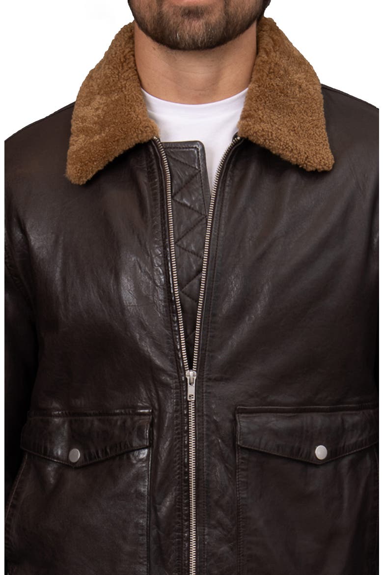 Washed Leather Aviator Jacket with Genuine Shearling Collar, Alternate, color, ESPRESSO