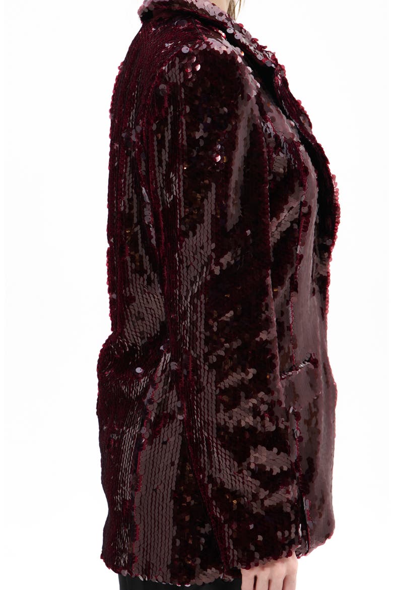 Dubai Sequin Blazer, Alternate, color, BURGUNDY