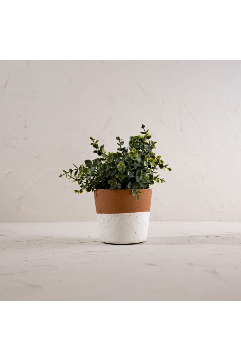Terracotta Bottom Dipped Terracotta Planter, Alternate, color, Orange