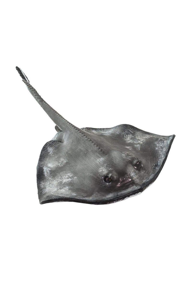 Safari Ltd. Sting Ray Toy, Alternate, color, NO COLOR