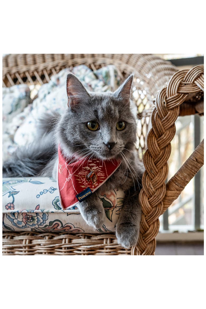 Set of 3 Pet Bandanas, Alternate, color, VINTAGE WEST