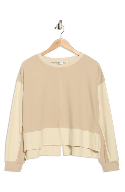 Patrizia Luca Colorblock Sweatshirt In Neutral