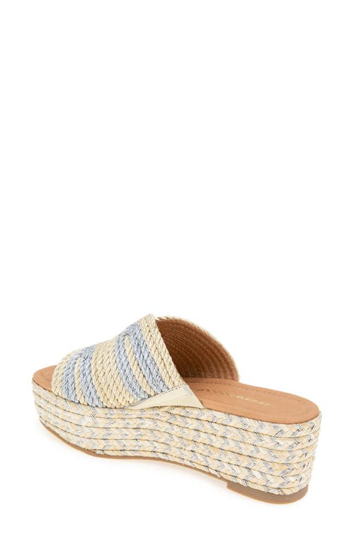 Andre Assous André Assous Serene Espadrille Platform Wedge Slide Sandal In Platino/silver