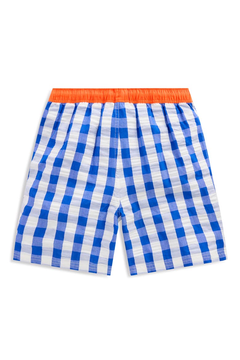 Kids' Print Swim Trunks, Alternate, color, BLUE GINGHAM