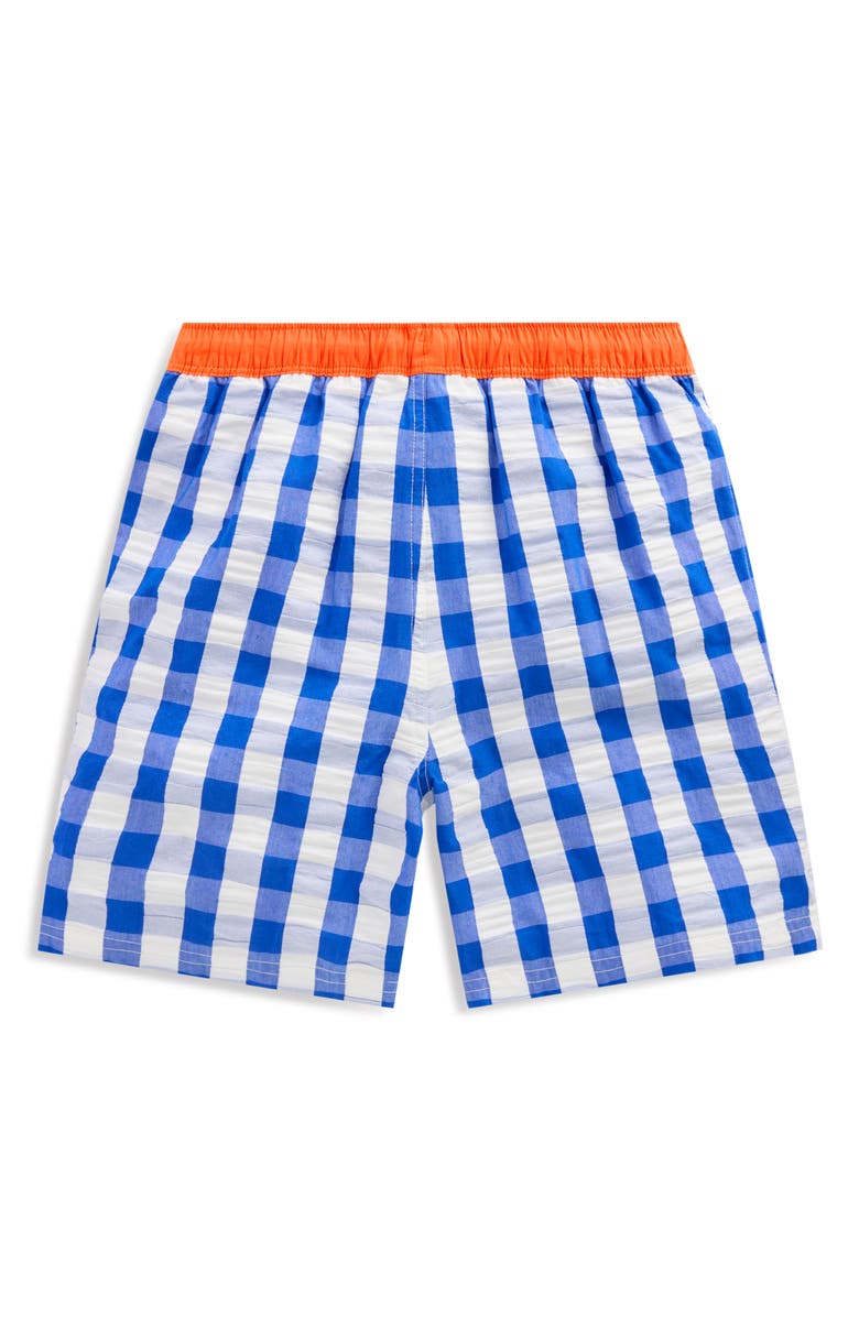 Mini Boden Kids' Print Swim Trunks, Alternate, color, Blue Gingham